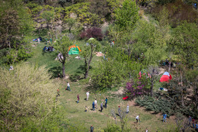 احداث بوستان ۹ هزار متری مسافر در شمال شرق تهران