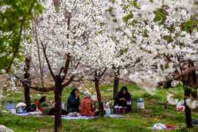 روز طبیعت در کرمان