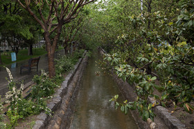 باران در برخی نقاط کشور/کاهش دما در شرق