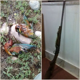 دستگیری ۴ شکارچی غیرمجاز در بخش سراب میمه شهرستان دهلران