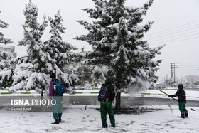 نیاز به کمک شهروندان کرج برای سبک سازی بار درختان از برف 