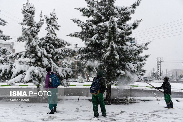 نیاز به کمک شهروندان کرج برای سبک سازی بار درختان از برف 