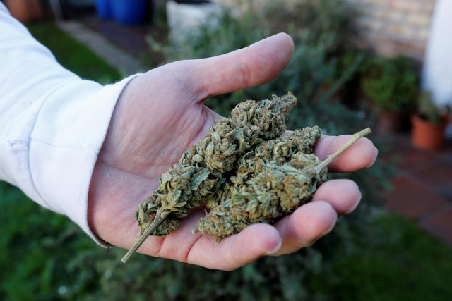 ویدئو / فروش قانونی ماریجوانا در داروخانه‌های پایتخت اروگوئه