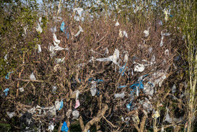 باغ‌های اطراف مدیریت پسماند ارومیه محل دفن پلاستیک‌هایی شده است که نمای بسیار آلوده ایی را برای این منطقه ایجاد کرده است.