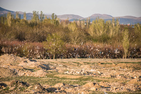 باغ‌های اطراف مدیریت پسماند ارومیه به قبرستان پلاستیک‌هایی تبدیل شده است که بیش از چند صد سال طول می‌کشد تا تجزیه محیط شود.
