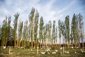 باغ‌های کشاورزی اطراف مدیریت پسماند ارومیه که مملو از پلاستیک شده‌اند.