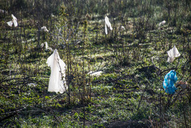 باغ‌های اطراف مدیریت پسماند ارومیه محل دفن پلاستیک‌هایی شده است که نمای بسیار آلوده ایی را برای محیط زیست این منطقه ایجاد کرده است.