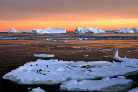 آب شدن یخچال‌ها در قطب جنوب جزیره کشف نشده‌ای را آشکار کرد