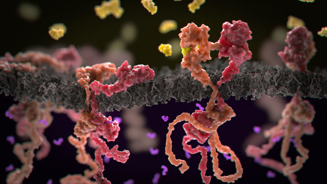 تاثیر داروی سرطان سینه در رشد سلول‌های سرطانی!