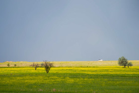 طبیعت رنگارنگ ارومیه