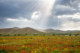 دشت گلهای رنگارنگ، روستای گورچین قله در ۷۰ کیلومتری ارومیه