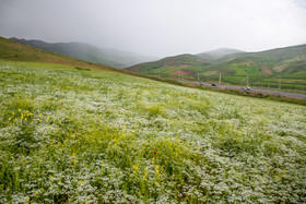 طبیعت زیبای ارتفاعات روستای آبگرم در ۳۰ کیلومتری شهر سلماس