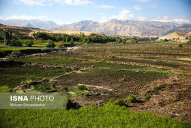 خسارت ۸۰۰ میلیارد ریالی سیل و طوفان به کشاورزی خُنج در استان فارس