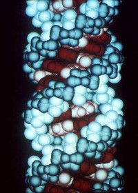 درک ارتباط میان بیماری و آر.ان‌.ای جهش‌یافته با استفاده از یک نرم‌افزار