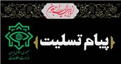 پیام تسلیت وزیر اطلاعات در پی درگذشت قائم مقام دبیر شورای نگهبان