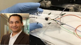 ابداع زیست‌چاپگر 3 بعدی برای چاپ بافت مصنوعی