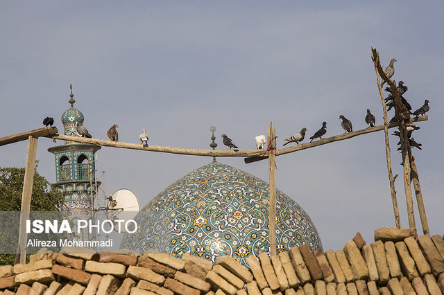 شهری که دیگر شهر نشد + عکس