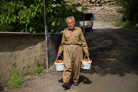 به گفته کارشناسان بیش از ۷۰ درصد از تولید توت فرنگی کشور در استان کردستان تولید می‌شود.