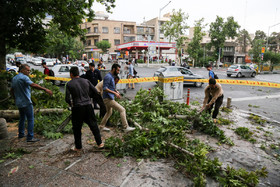 جمع کردن درختان شکسته شده در خیابان انقلاب در پی طوفان عصر امروز تهران