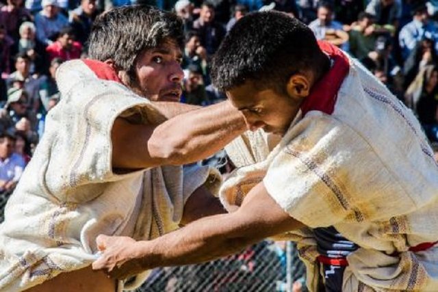 کشتی باچوخه اسفراین باید متولی خاصی داشته باشد