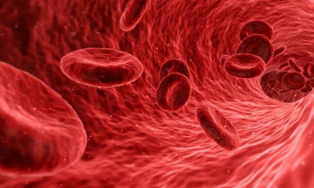 سلولهای خونی