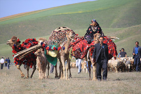 7000 خانوار عشایری کرمانشاه مشکل "آب" دارند