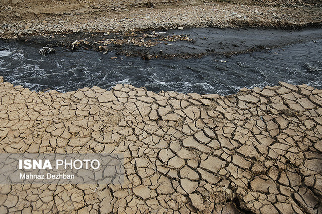 مرگ و میر آبزیان رودخانه دز در پی کاهش دبی آب