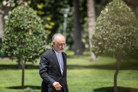 علی‌اکبر صالحی رئیس سازمان انرژی اتمی در حاشیه جلسه هیات دولت
