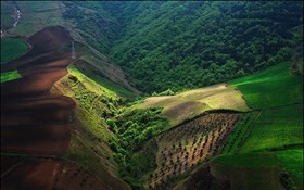 کشت فراسرزمینی خراسان ‌جنوبی در اوکراین