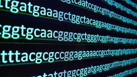 مخمری که قانون جهانی DNA را نقض کرد