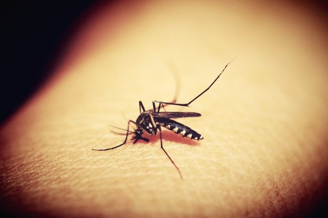 کمک 4 میلیون دلاری بیل گیتس به ریشه‌کن کردن مالاریا
