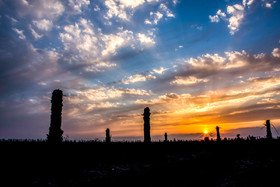 نخلهای بیسر آبادان که با وجود گذشت بیش از ۳۰ سال از پایان جنگ تحمیلی هنوز هم استوار ایستادهاند.