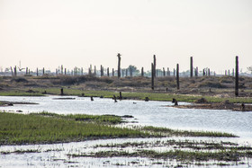 میزان شوری آب در مناطقی از اروند رود به میزانی بالاست که با آب خلیج فارس فرقی ندارد.