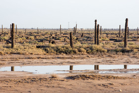 خاک بعضی از مناطق آبادان به حدی شور شده است که حتی با تجمع آب باران در آن نقطه، علف هرز هم نمیروید.