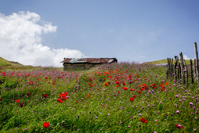 مسیر خلخال به اسالم در گذر از ییلاق خرخونی با چشم انداز های زیبا