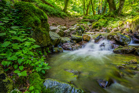 آبشار ناو در منطقه " دریابین " در دل جنگل های مسیر خلخال به اسالم