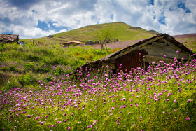 سمفونی رنگها در مسیرخلخال به اسالم