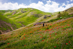 سمفونی رنگها در مسیرخلخال به اسالم