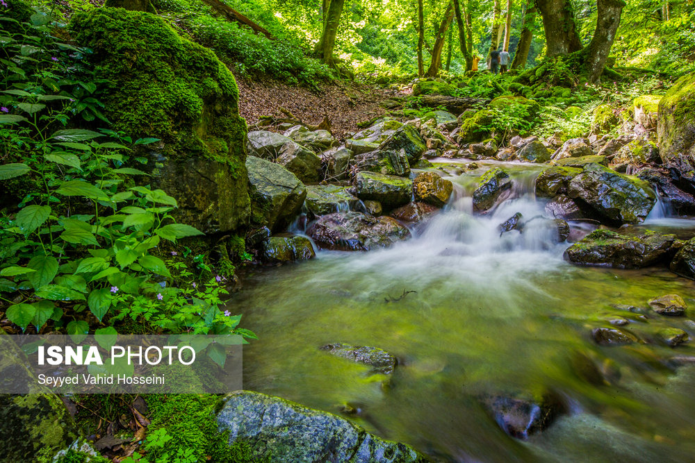 سمفونی رنگها در خلخال به اسالم 3 پایگاه خبری ججین پایگاه خبر ججین
