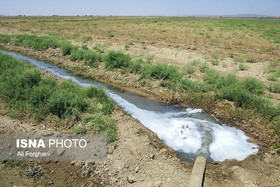 اینجا سرطان می کارند!