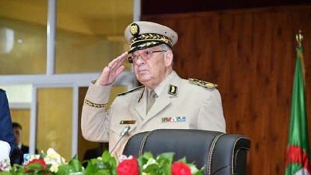 رئیس ستاد ارتش الجزایر: هیچ نگرانی برای کشور و آینده آن نداریم