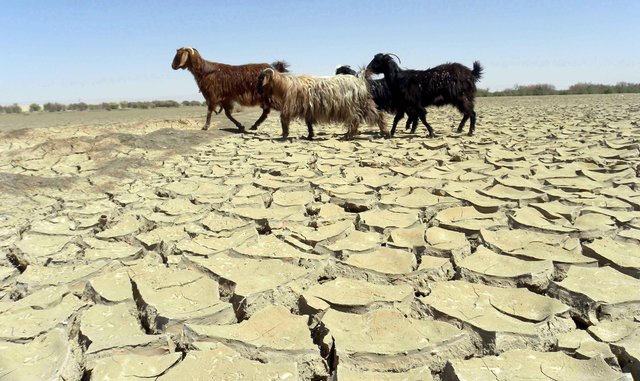 تخصیص 36 درصد بودجه استان کرمان به پیامدهای خشکسالی