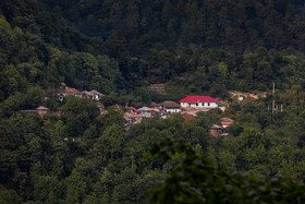 ویدئو / طبیعت زیبای تالش و درخت معلقی که می‌لرزید!