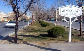 تنهایی پروین