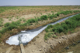 اینجا «سرطان» می‌کارند