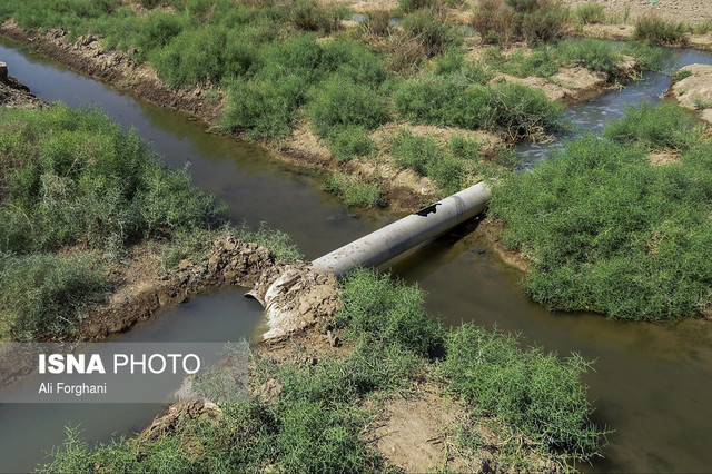 "فاضلابیاری" در ساوه با قدرت ادامه دارد/از درمان خبری نیست!