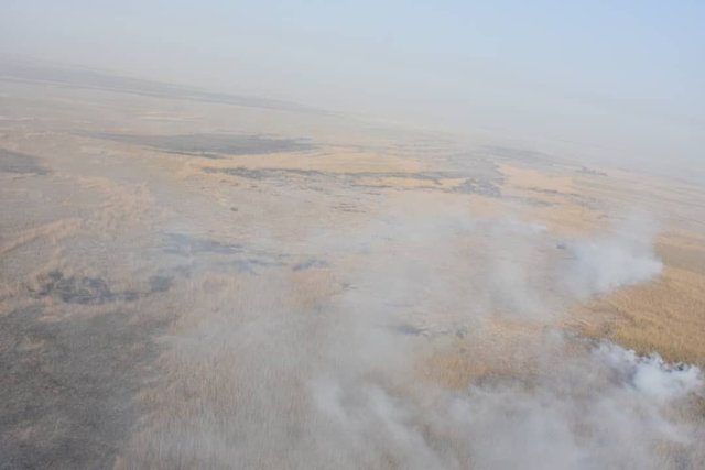 آغاز عملیات اطفای آتش‌سوزی هورالعظیم در خاک عراق +عکس