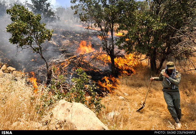 وقوع آتش‌سوزی در 19 هکتار از جنگل‌های پارک ملی کرخه در دو ماه گذشته