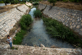 نمایی از چشمه‌ دختر امام ساری که روبه مرداب شدن است.