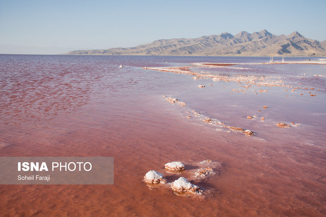 ستاد احیای دریاچه ارومیه به کشاورزی منطقه خسارت زده!